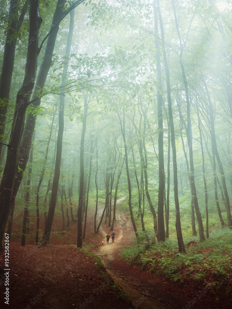 Fototapeta premium Couple Running With Dog in Misty Forest