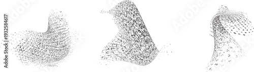 Vector particle flow formed by dynamic black textures. Organic particle shape with depth and movement. Noise texture with dynamic particle textures for design overlay.
