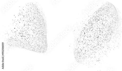 Vector particle flow formed by dynamic black textures. Organic particle shape with depth and movement. Noise texture with dynamic particle textures for design overlay.
