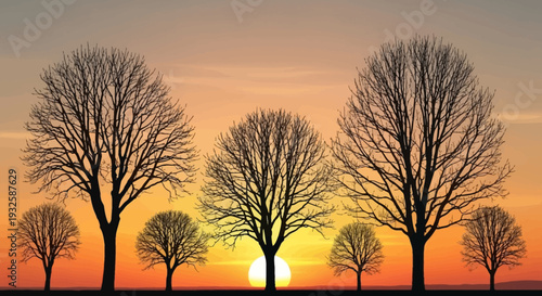 Silhouettes of bare trees against a vibrant orange and yellow sunset sky with the sun visible on the horizon, creating a peaceful and scenic view.