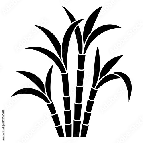 Sugarcane plant silhouette vector illustration isolated PNG with Transparent Background