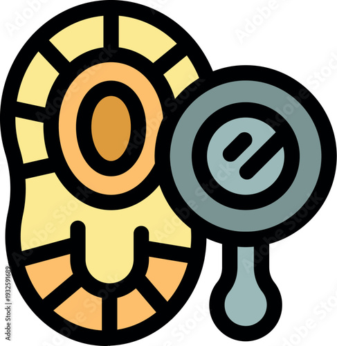 Orthopedic insole provides support and comfort, symbolized by a mirror reflecting well being