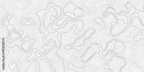 Clean Abstract Topographic Background with Flowing Contour Line Networks and Smooth White Relief Layers
Geographic Terrain Texture Representing Elevation Mapping and Surface Visualization