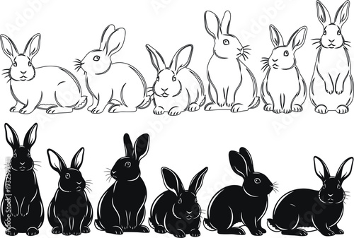 A group of black and white rabbits sitting in different poses on a plain background