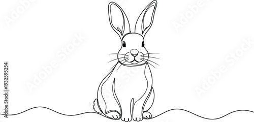 A simple line drawing of a cute rabbit sitting on the ground with a wavy line in the background.