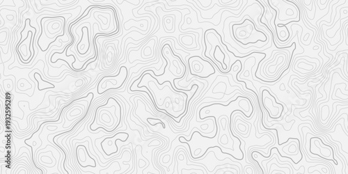 Topographic Elevation Map Background with Organic Flowing Contour Lines and Layered White Wave Texture
Abstract Relief Landscape Pattern Inspired by Natural Terrain and Geographic Visualization