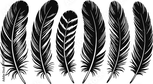 Six black ornamental feathers collection decorative vintage feather silhouettes for design and art