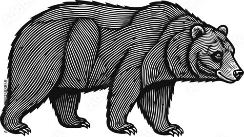 Detailed black and white bear illustration with thick fur lines, natural wildlife animal side view drawing