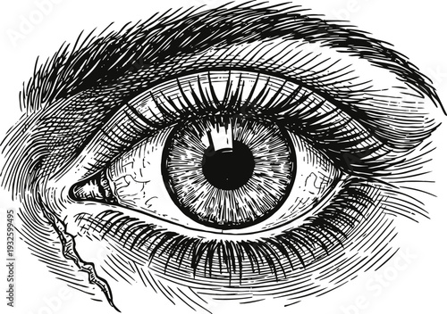 Detailed black and white eye illustration with visible iris, eyelashes, and textured skin lines