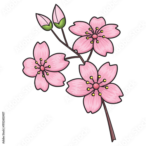 Light pink cherry blossom cartoon