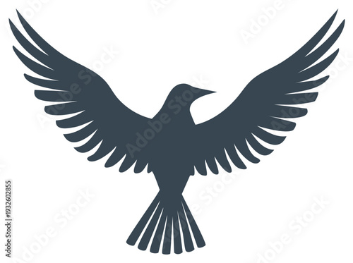 Silhouette of a bird with wings spread wide in flight creating a sense of freedom and aspiration