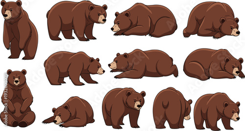 Cartoon brown bear character set in different poses and actions, wildlife animal illustration collection isolated on white background for educational designCartoon 
