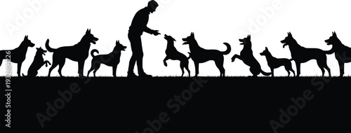 Black Silhouette of Professional Dog Trainer Interacting With Large Pack of Various Pedigree Breeds Outside on Grass Isolated on White Background for Commercial Design