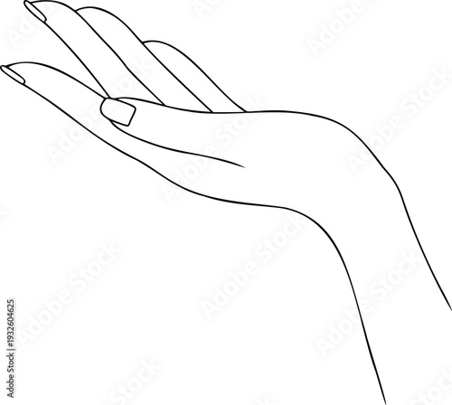 Outline Beautiful elegant female hand in black and white. Vector line art Human body fragment. Hand drawn illustration. Design element for card, invitation, poster, brochure