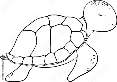 Vector cute Sea turtle. Sketch of swimming marine tortoise. Underwater animal outline painted in black and white. Coloring of Tropical reptile. Hand drawn illustration for kids things