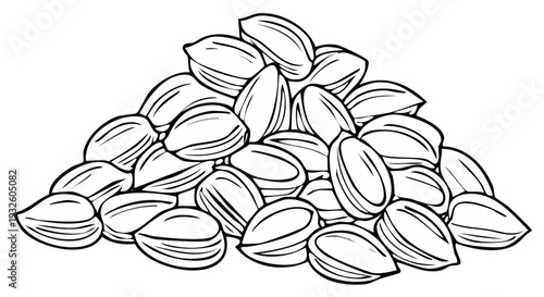 Hand drawn pile of sunflower seeds illustration isolated on white background