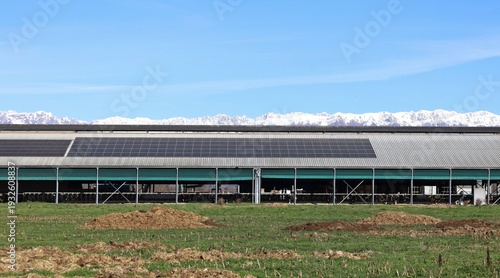 Wallpaper Mural Solar panels on a metallic roof of a cattle barn  in winter. Snowy mountains and sky on background, agricultural field in front.  Torontodigital.ca