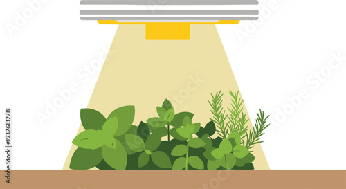 A modern grow light illuminates fresh herbs in a hydroponic setup. Clean, bright, and ideal for illustrating indoor gardening or sustainable living.