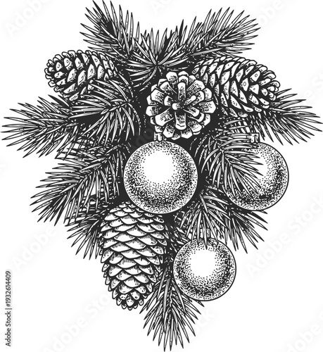 Christmas Tree Branches with Pine Cones and Ornaments Engraving Style