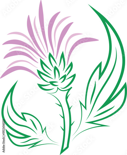 Thistle for logos on a white background