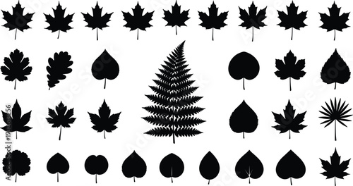 Black leaf silhouette icon collection featuring maple oak fern and tropical foliage, minimal flat vector set isolated on white background for nature design projects