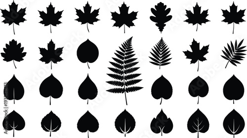 Black leaf silhouette icon set featuring maple oak fern and tropical leaves, minimal flat vector collection isolated on white background for nature design