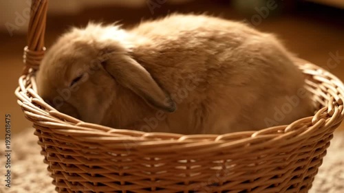 Adorable fluffy rabbit sleeping peacefully in a woven wicker basket, showcasing ultimate comfort and cuteness.