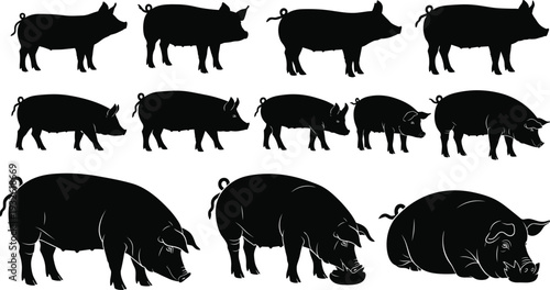 Black pig silhouette icon set showing farm pigs in different poses and sizes, minimal flat vector collection isolated on white background for agriculture design