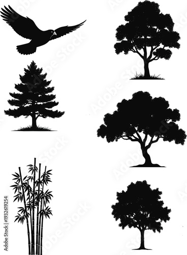 Black silhouette illustration of bird, bamboo, coniferous tree, and deciduous trees, showcasing diverse natural elements, foliage shapes, and botanical variety for educational and decorative design.