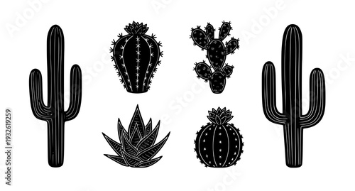 A set of black and white vector illustrations of various cactus plants