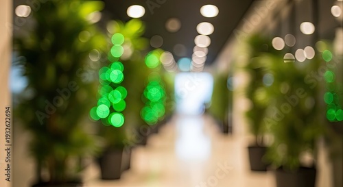 Indoor Plants in Modern Office Space.