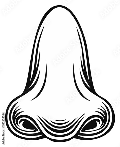 Stylized Line Art Illustration of a Human Nose Depicting Nostrils and Ridges