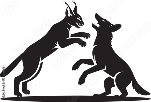 Silhouette of lynx fighting wolf in aggressive confrontation