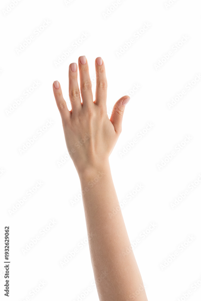 Fototapeta premium Young female hand outside view straight isolated on white