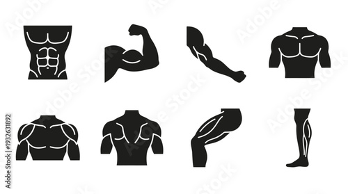 Bodybuilding Vector Silhouette Icon Set Featuring Eight Classic Competition Poses Including Flexing, Side Stance, Kneeling, and Symmetry Showcases for Fitness and Graphic Design Use