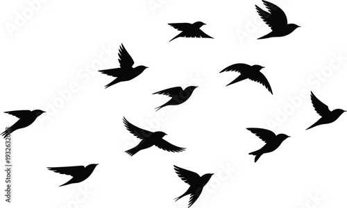 Silhouette of birds flying in scattered formation against light sky minimalist black and white nature background with copy space freedom concept