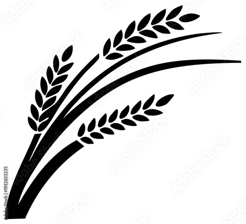 Black Silhouette of Wheat Stalks Against a White Background