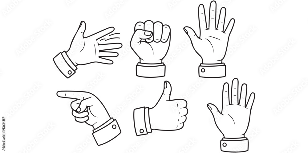 Fototapeta premium A set of hands in various gestures on a white background