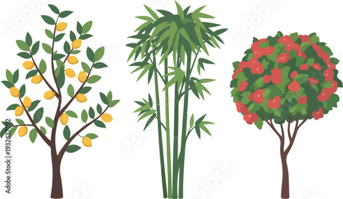 Set of Flat Cartoon Fruit Tree, Bamboo Plant, and Blooming Hibiscus Flower Tree for Garden, Nature, and Botanical Landscape Design Elements