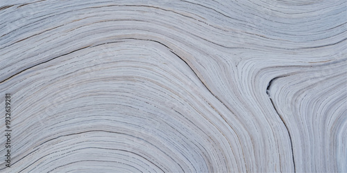 Abstract swirling pattern of weathered gray wood grain, organic lines and curves creating a dynamic texture, suitable for artistic backgrounds