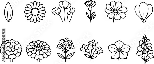 Collection of simple line art drawings of various wildflowers and botanical elements