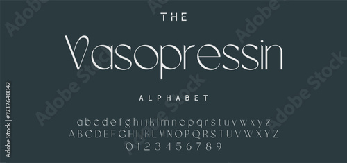 Elegant ligature alphabet letters font logo. Typography luxury classic lettering serif fonts decorative wedding vintage retro logos, design for fashion,beauty shop and brand . vector illustration