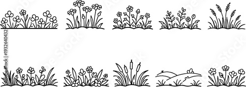 Collection of simple line art illustrations of various plants and flowers in a row