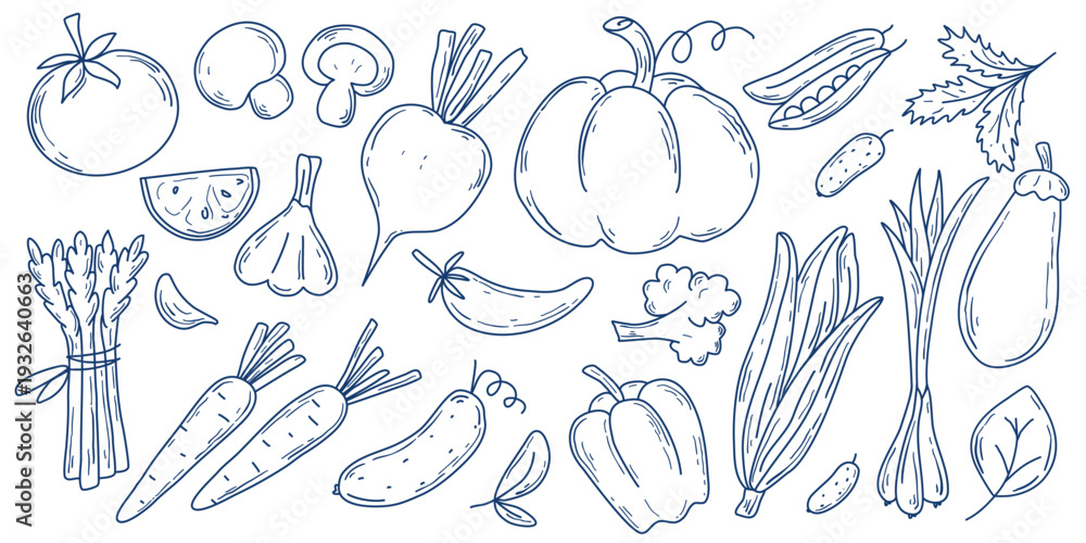 Fototapeta premium Large set of vegetables in doodle sketch style. Simple hand drawn silhouette organic nutrition. Vegetable clip art Mediterranean vibe. Vector elements