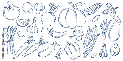 Large set of vegetables in doodle sketch style. Simple hand drawn silhouette organic nutrition. Vegetable clip art Mediterranean vibe. Vector elements