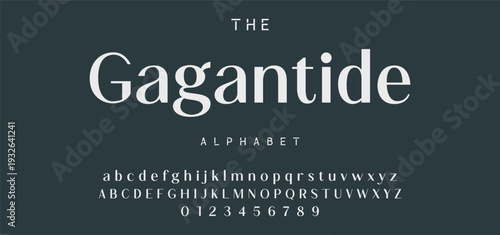 Elegant ligature alphabet letters font logo. Typography luxury classic lettering serif fonts decorative wedding vintage retro logos, design for fashion,beauty shop and brand . vector illustration