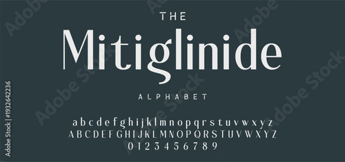 Elegant ligature alphabet letters font logo. Typography luxury classic lettering serif fonts decorative wedding vintage retro logos, design for fashion,beauty shop and brand . vector illustration