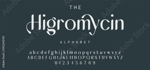 Elegant ligature alphabet letters font logo. Typography luxury classic lettering serif fonts decorative wedding vintage retro logos, design for fashion,beauty shop and brand . vector illustration