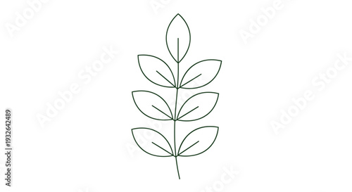 Simple black line art drawing of a single leaf sprig with several pairs of symmetrical leaves on a white background.