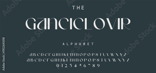 Elegant Font Uppercase Lowercase and Number. Classic Lettering Minimal Fashion Designs. Typography modern serif fonts regular decorative vintage concept. vector illustration